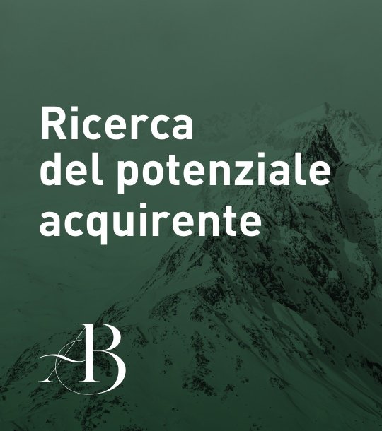 Ricerca del potenziale acquirente