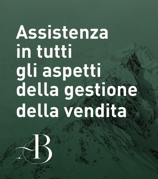 Assistenza in tutti gli aspetti della gestione della vendita